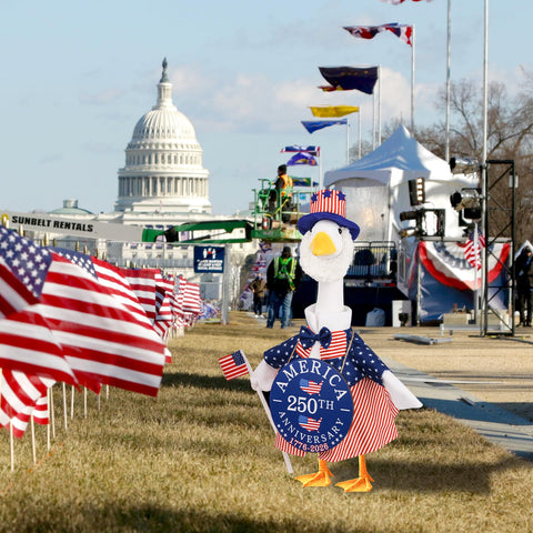 Aymolas Independence Day lawn decor for seasonal gatherings.