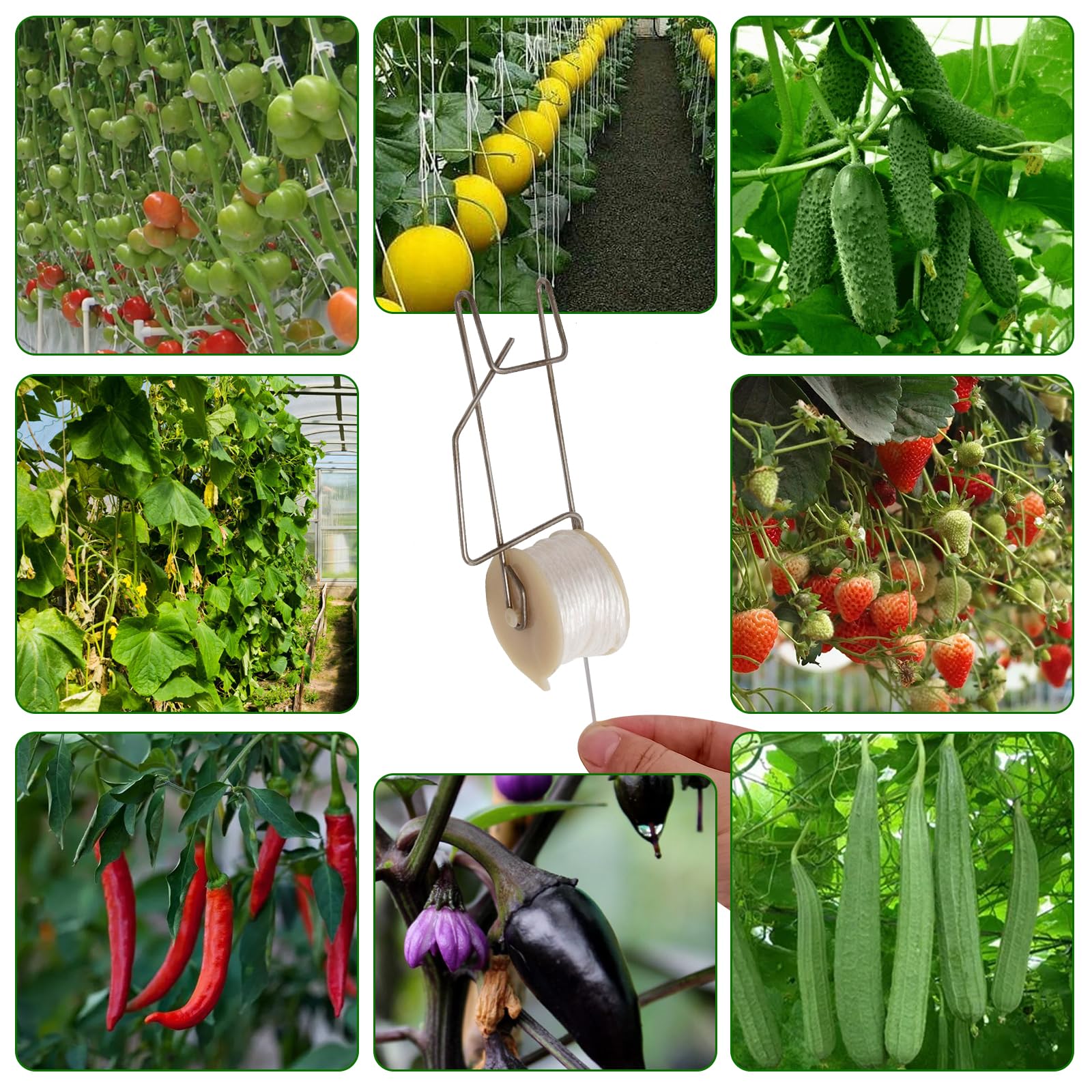 Aynaxcol 20-pack plant hooks offer versatile support for multiple vine crops.