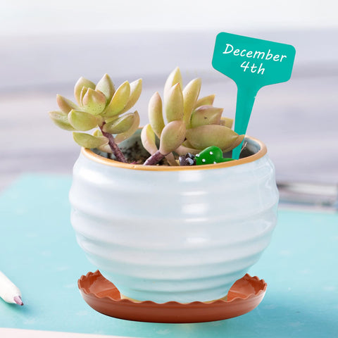 Aynaxcol durable PP material plant tray protects surfaces and pots.