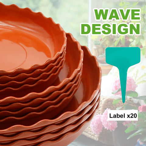 Aynaxcol reusable trays are easy to clean.