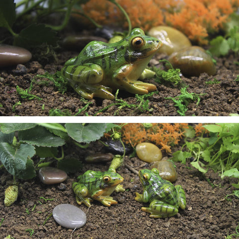 Aynaxcol indoor-outdoor frog decoration, tiny figurine for fairy gardens or terrariums.