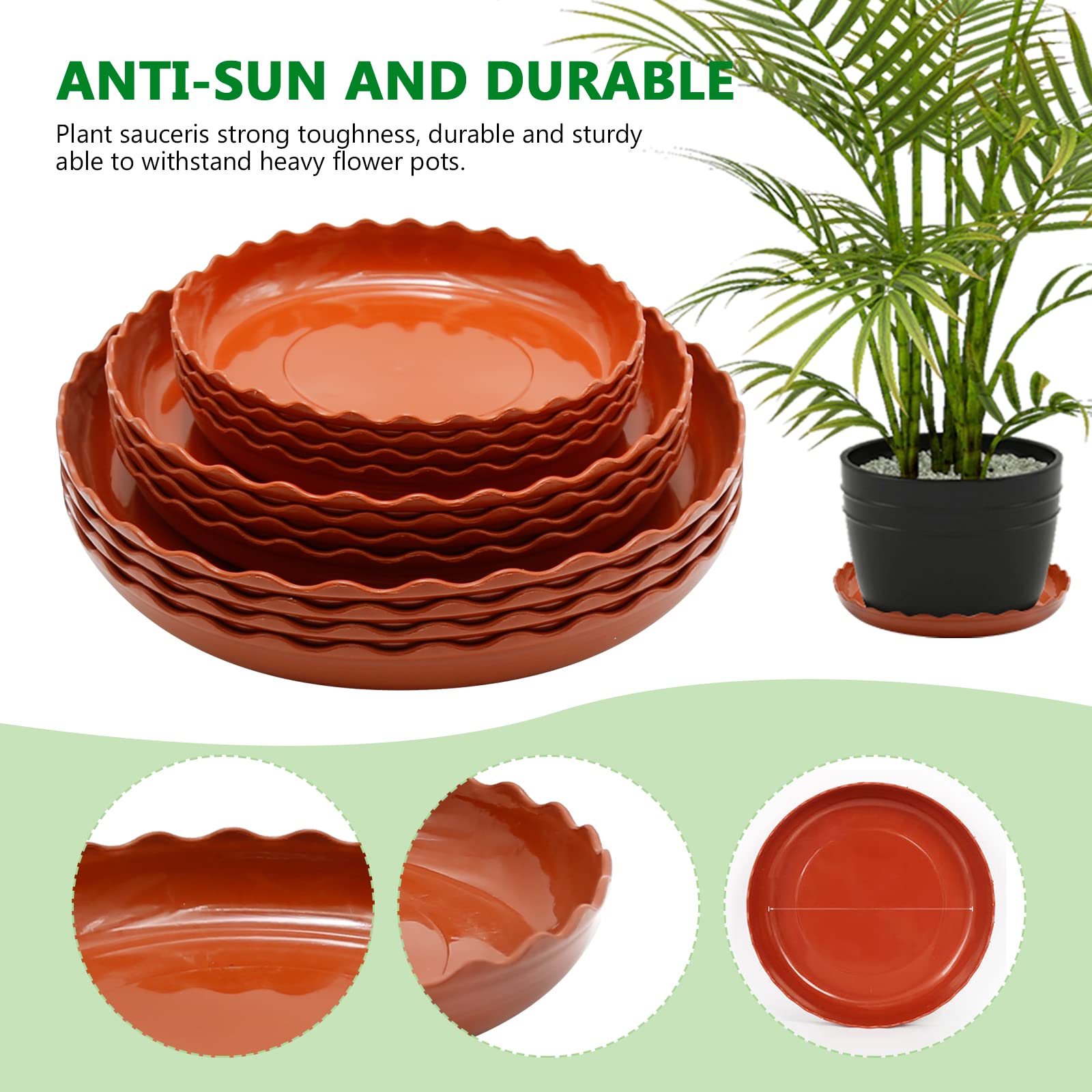 Aynaxcol includes 20 plant labels for easy labeling.