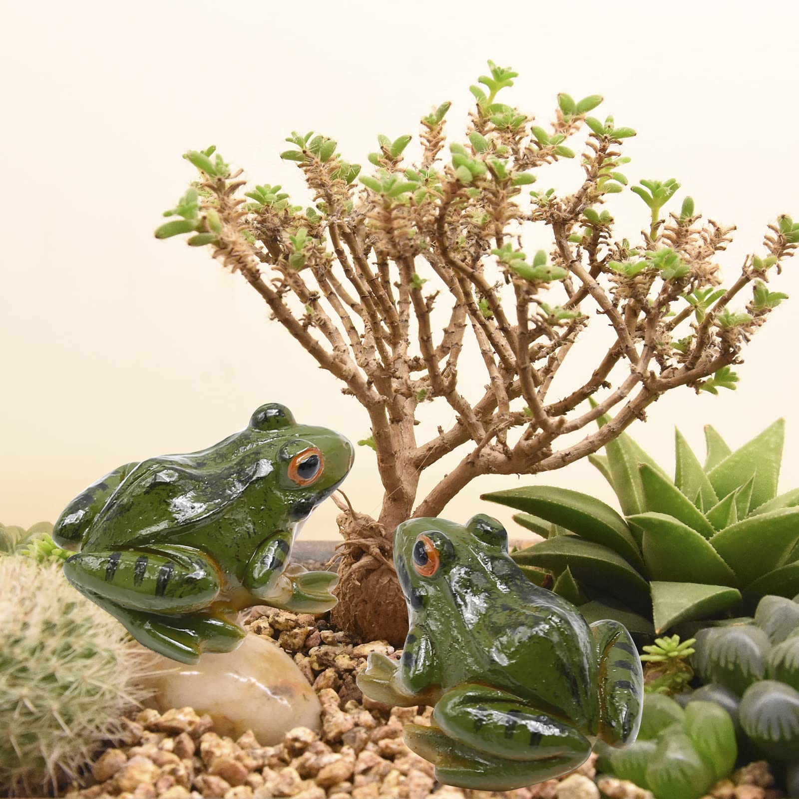 Aynaxcol terrarium frog ornament, compact resin figure for micro landscapes.