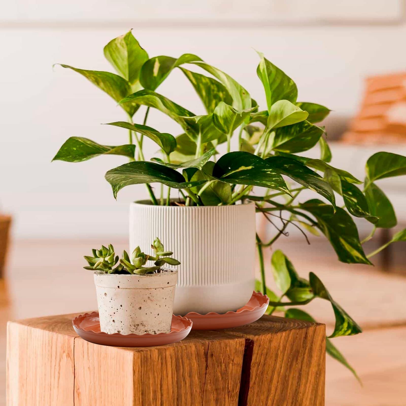 Aynaxcol white round wave tray design complements any pot.