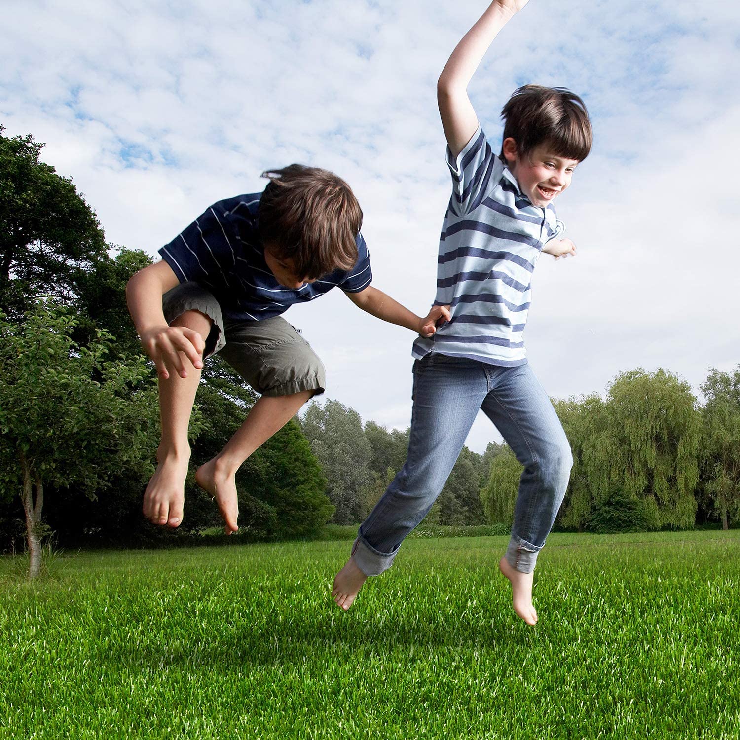 AYOHA year-round green lawn solution requires no watering or trimming