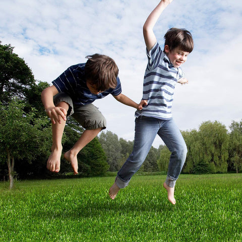 AYOHA year-round green lawn solution requires no watering or trimming