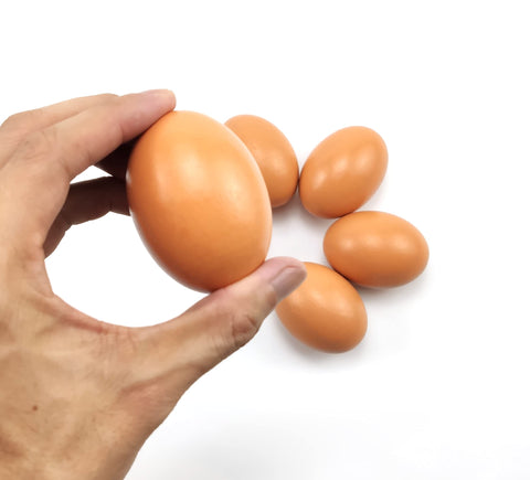 Azatemgo wooden dummy eggs provide a safe, lifelike nesting cue for hens.