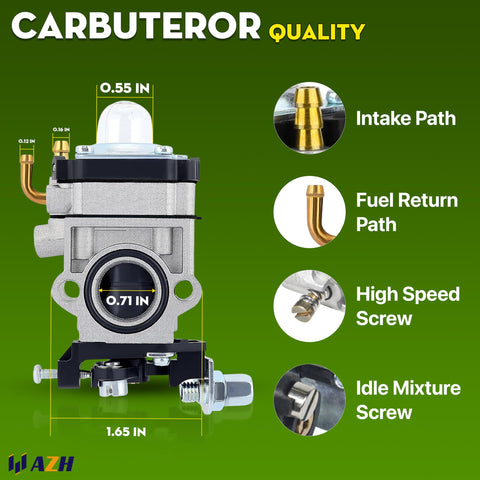 AZH carburetor inspection details; precise idle jet and fuel flow focus.