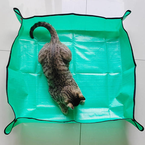 Azureblue large indoor plant mat provides ample workspace for bigger pots.