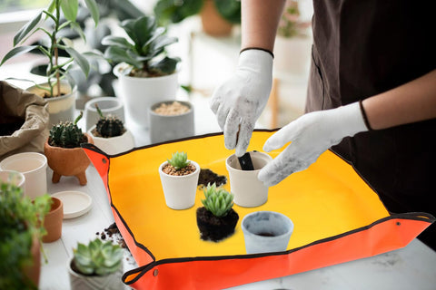 Azureblue plant gift mat orange ideal for plant lovers