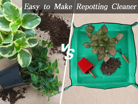 Azureblue waterproof repotting tray prevents dirt from spreading.