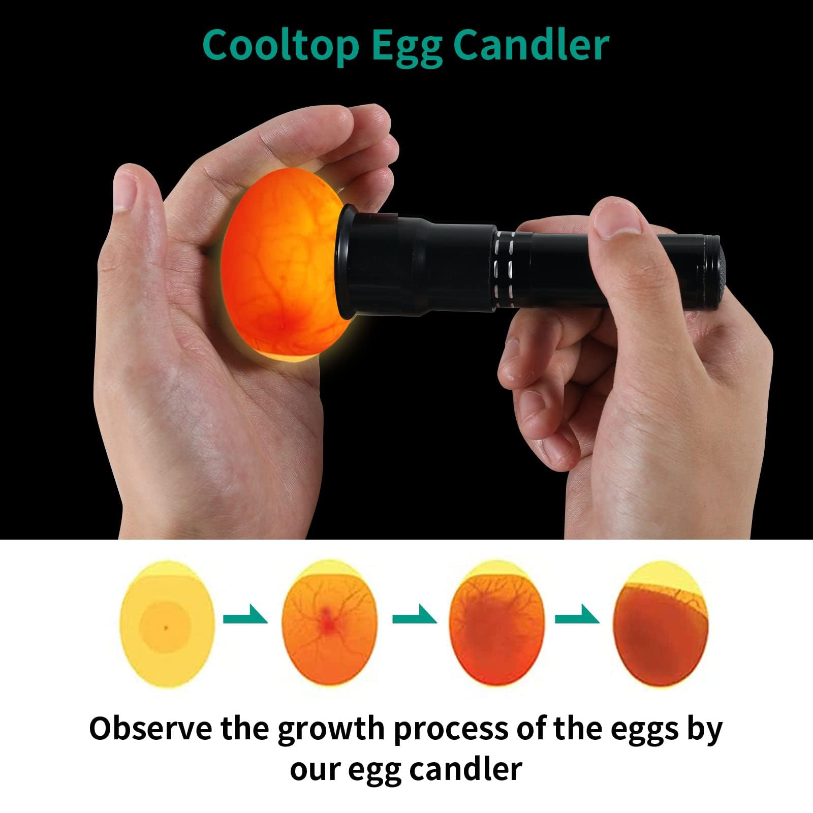 AZXIVIZ Egg Candler battery-compartment shows easy 3-AAA power for cable-free operation