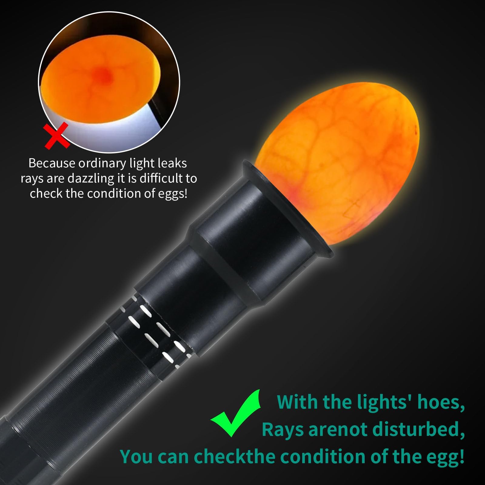 AZXIVIZ Egg Candler-quail-egg-tray keeps small eggs steady during candling
