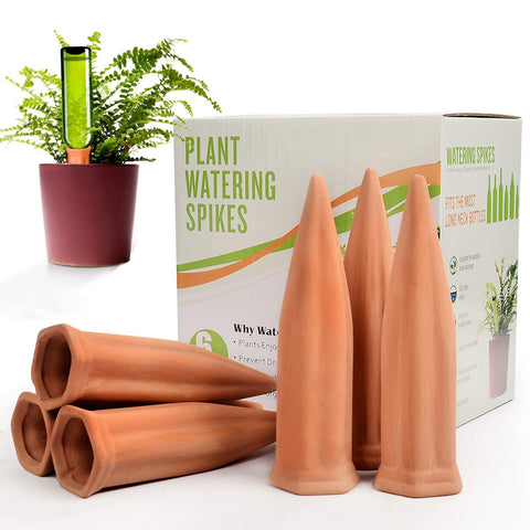 B SEPOR ceramic plant waterer stake provides steady irrigation.