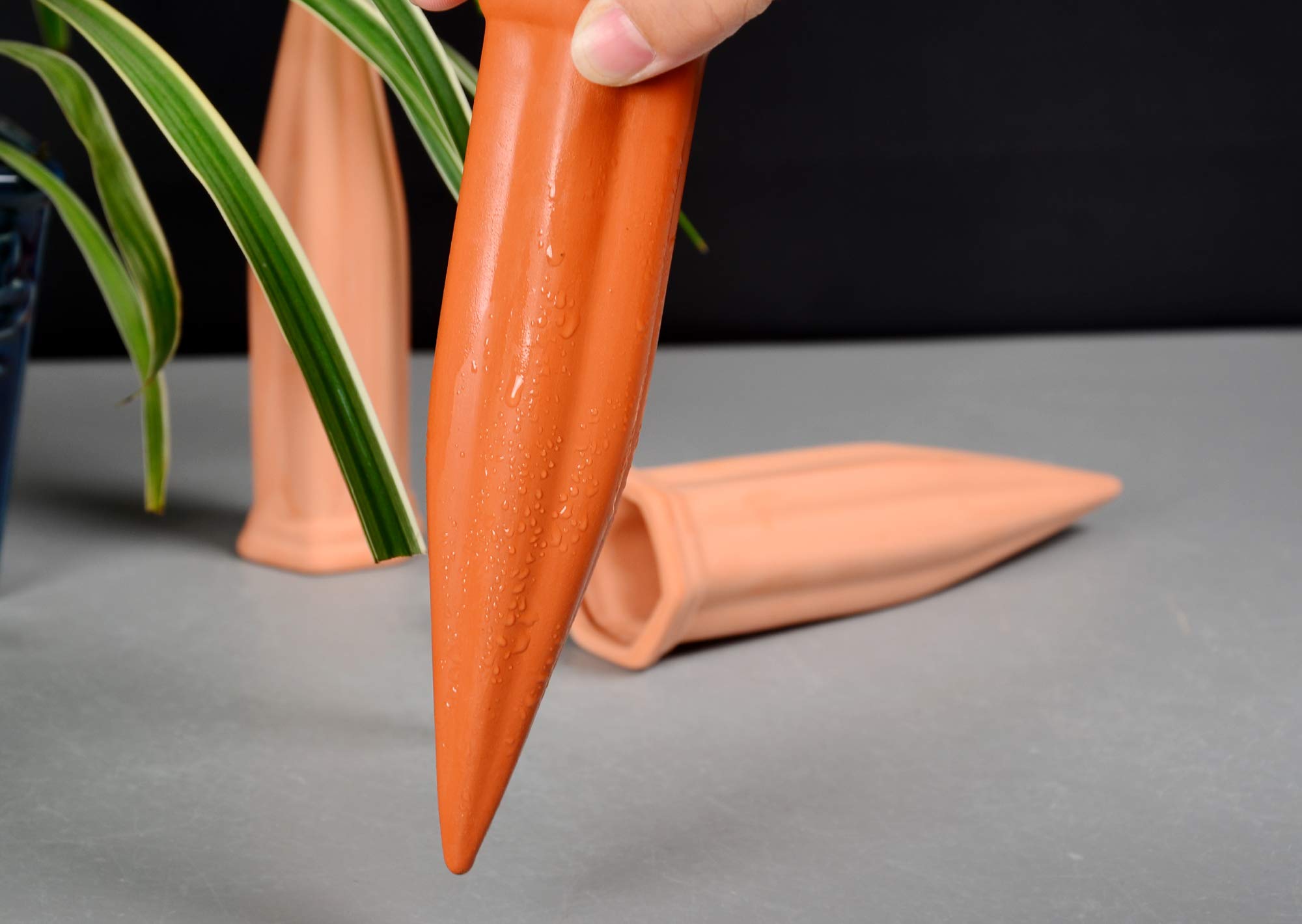 B SEPOR easy-install spike simplifies plant care.