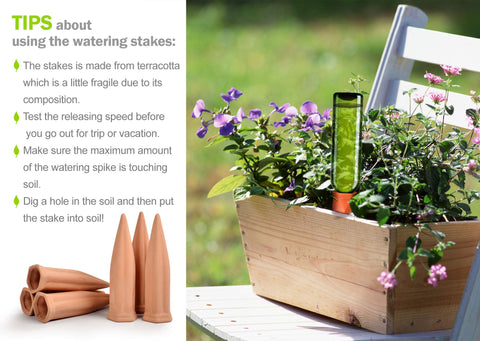 B SEPOR terracotta waterer for indoor or outdoor use.
