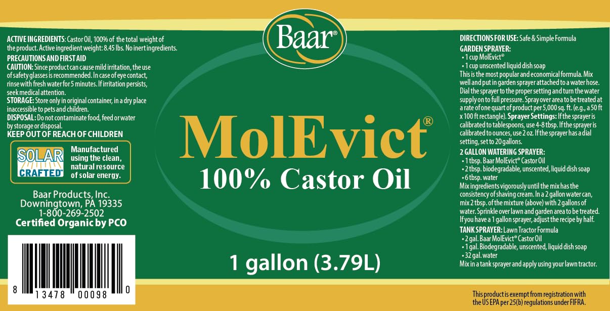 MolEvict being applied on lawn to deter moles and voles with castor oil.