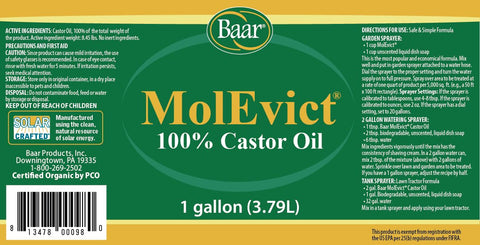 MolEvict being applied on lawn to deter moles and voles with castor oil.