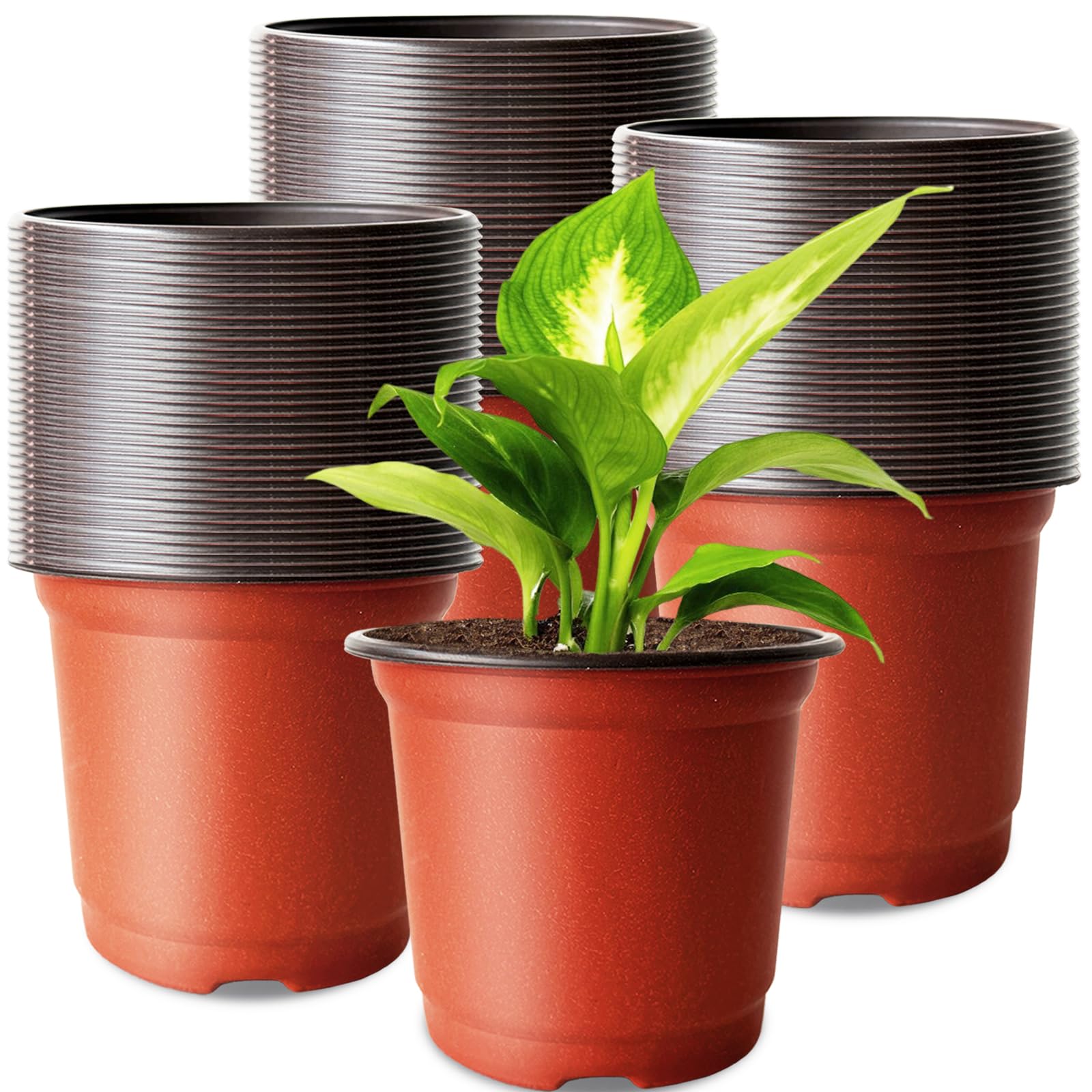 Baaxxango 4 inch nursery pot with drainage holes for seedlings