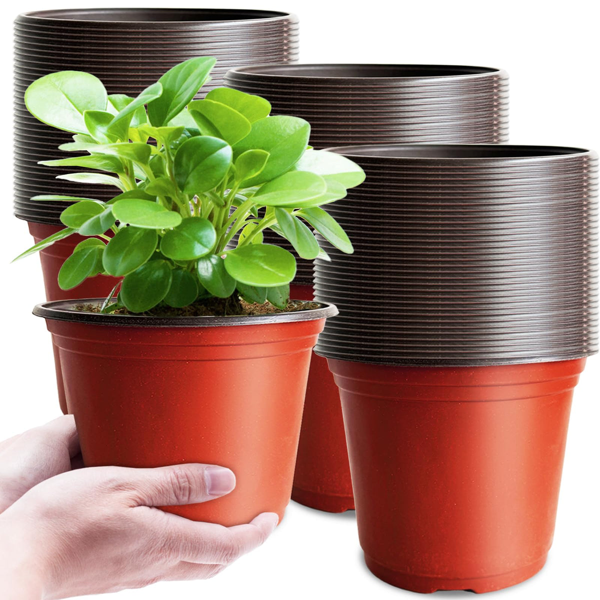 Baaxxango 6-inch plastic nursery pot with top opening for seed starting