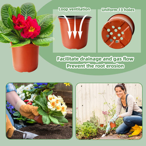 Baaxxango versatile pots suitable for vegetables, succulents, and herbs