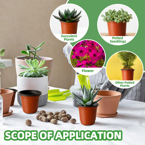 Baaxxango pots for indoor and outdoor planting setups