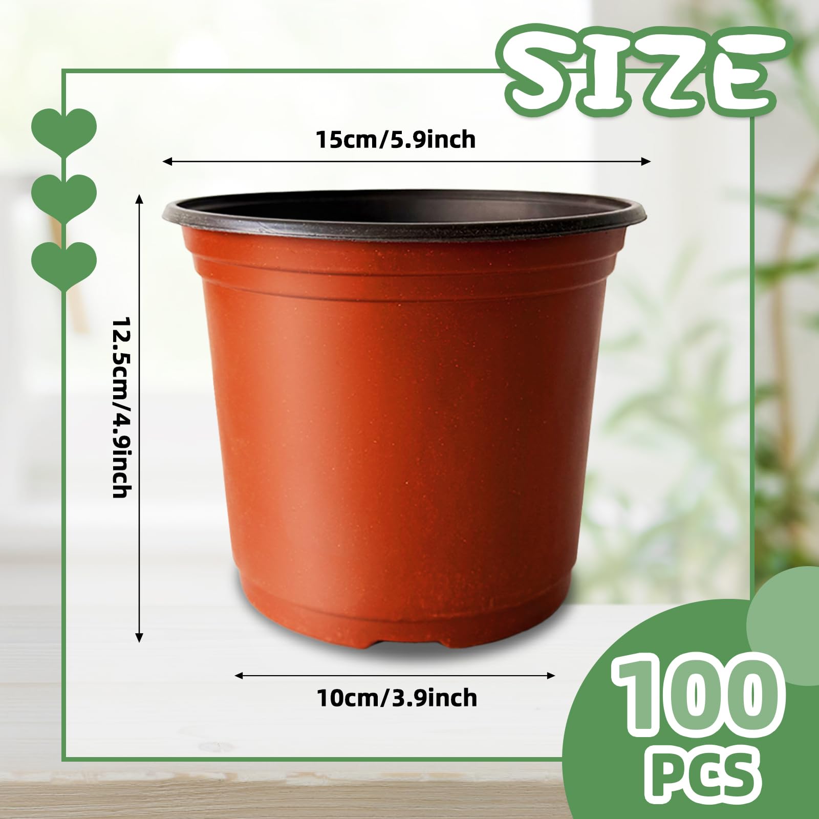 Baaxxango seedling pot shows drainage holes for healthy root aeration