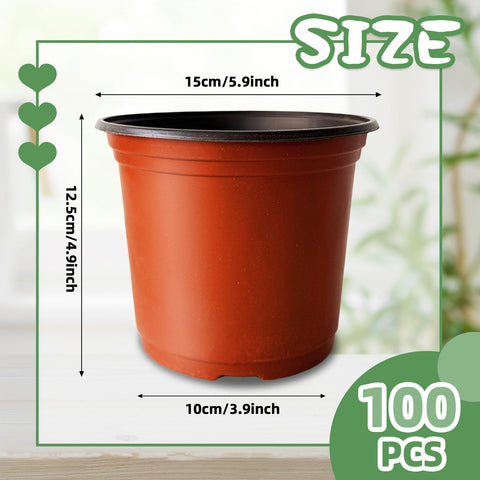 Baaxxango seedling pot shows drainage holes for healthy root aeration