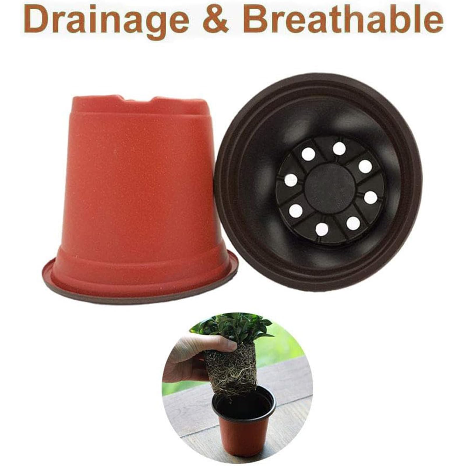 Baaxxango seedling pots showing 12 drain holes for drainage