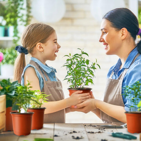 Baaxxango stackable nursery pots for organized seedlings