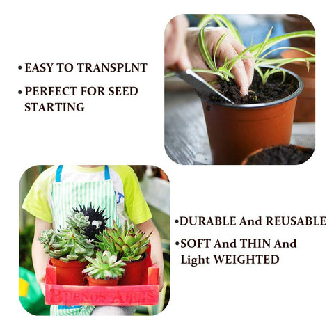 Baaxxango succulent propagation pot designed for efficient cuttings