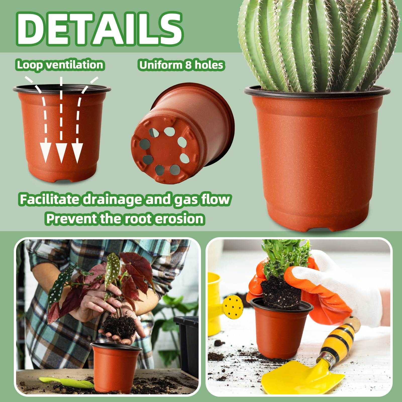 Baaxxango pots ideal for starting vegetables and succulents