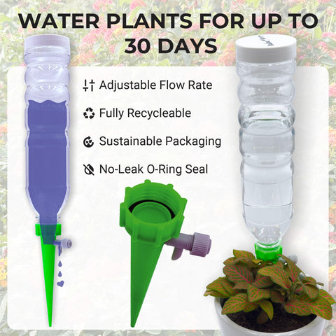 BabaBerry indoor/outdoor system provides reliable hydration for all seasons