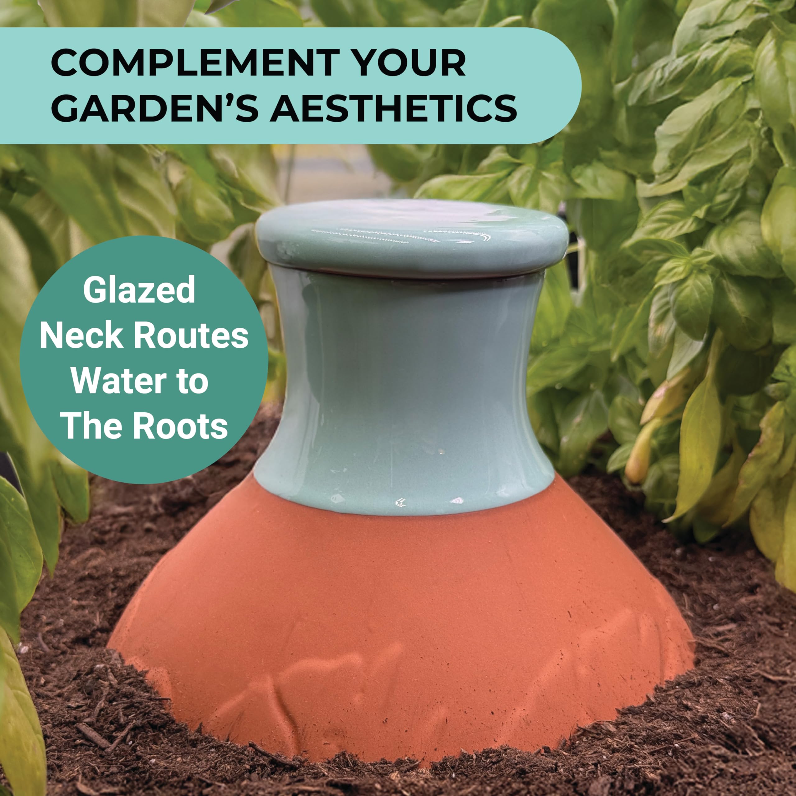 BabaBerry large-garden-bed-use fits raised beds and containers.