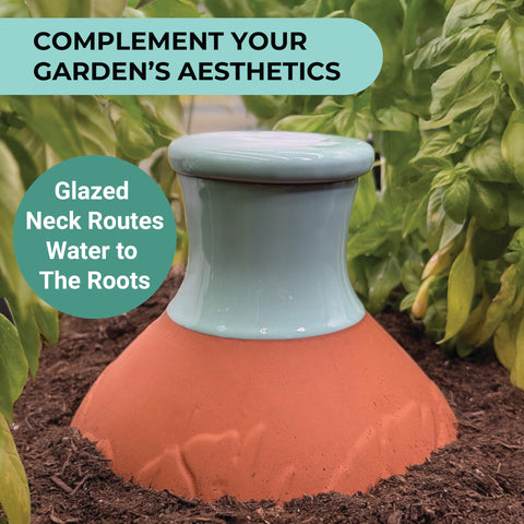 BabaBerry large-garden-bed-use fits raised beds and containers.