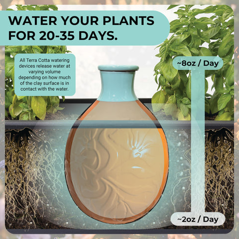 BabaBerry root-moisture delivery targets the root zone.