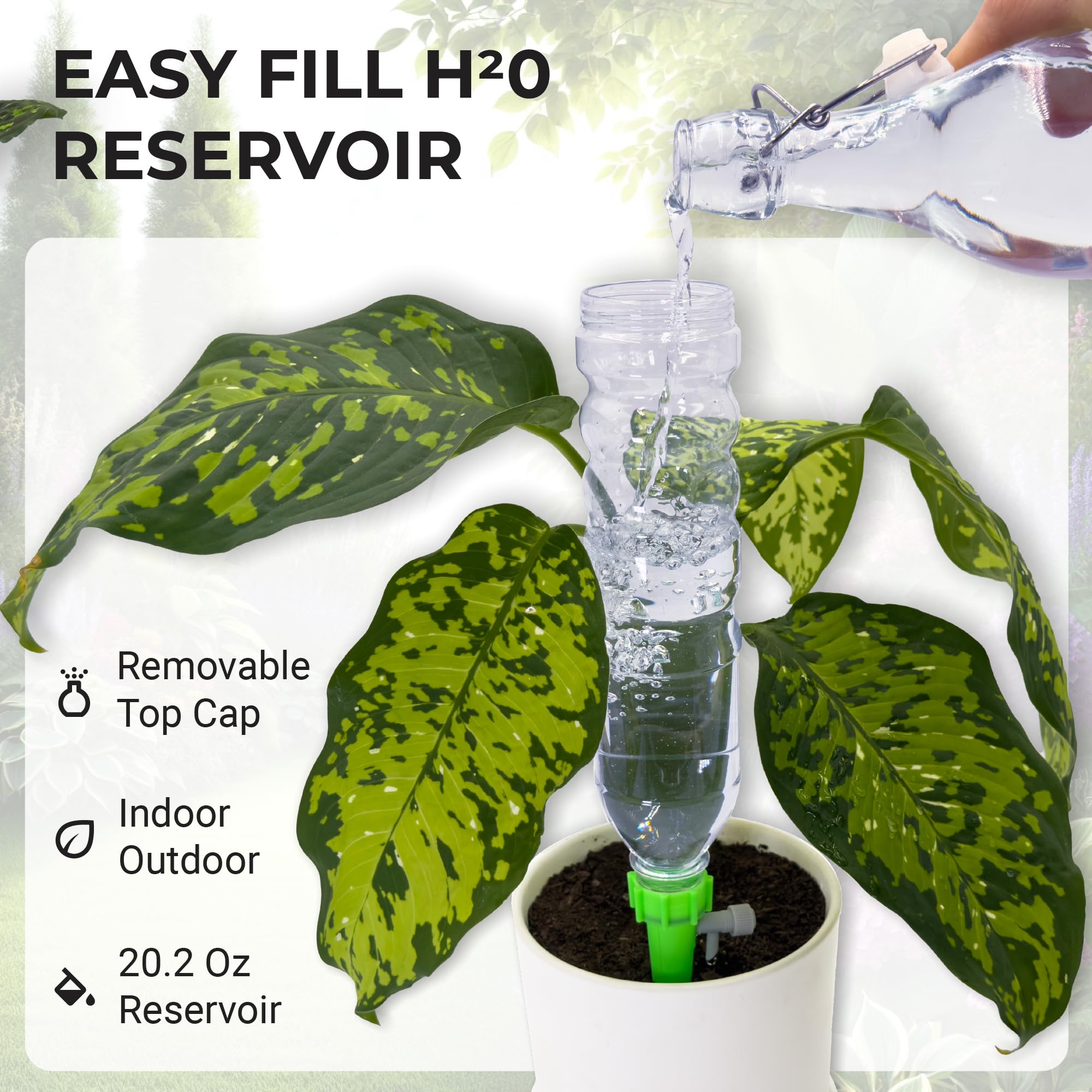 BabaBerry self-watering spike insert provides slow release hydration for busy homes
