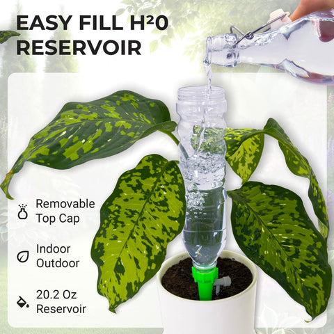 BabaBerry self-watering spike insert provides slow release hydration for busy homes