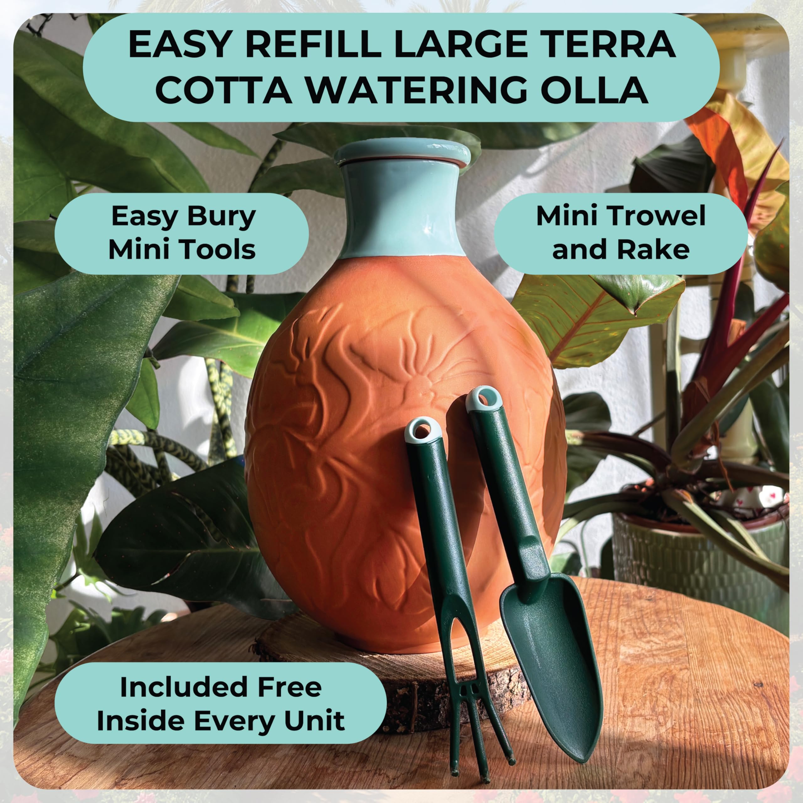 BabaBerry terracotta seepage detail illustrates controlled root moisture.