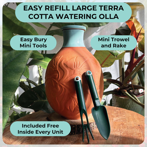 BabaBerry terracotta seepage detail illustrates controlled root moisture.