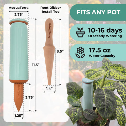 BabaBerry balanced design keeps spikes secure in pots