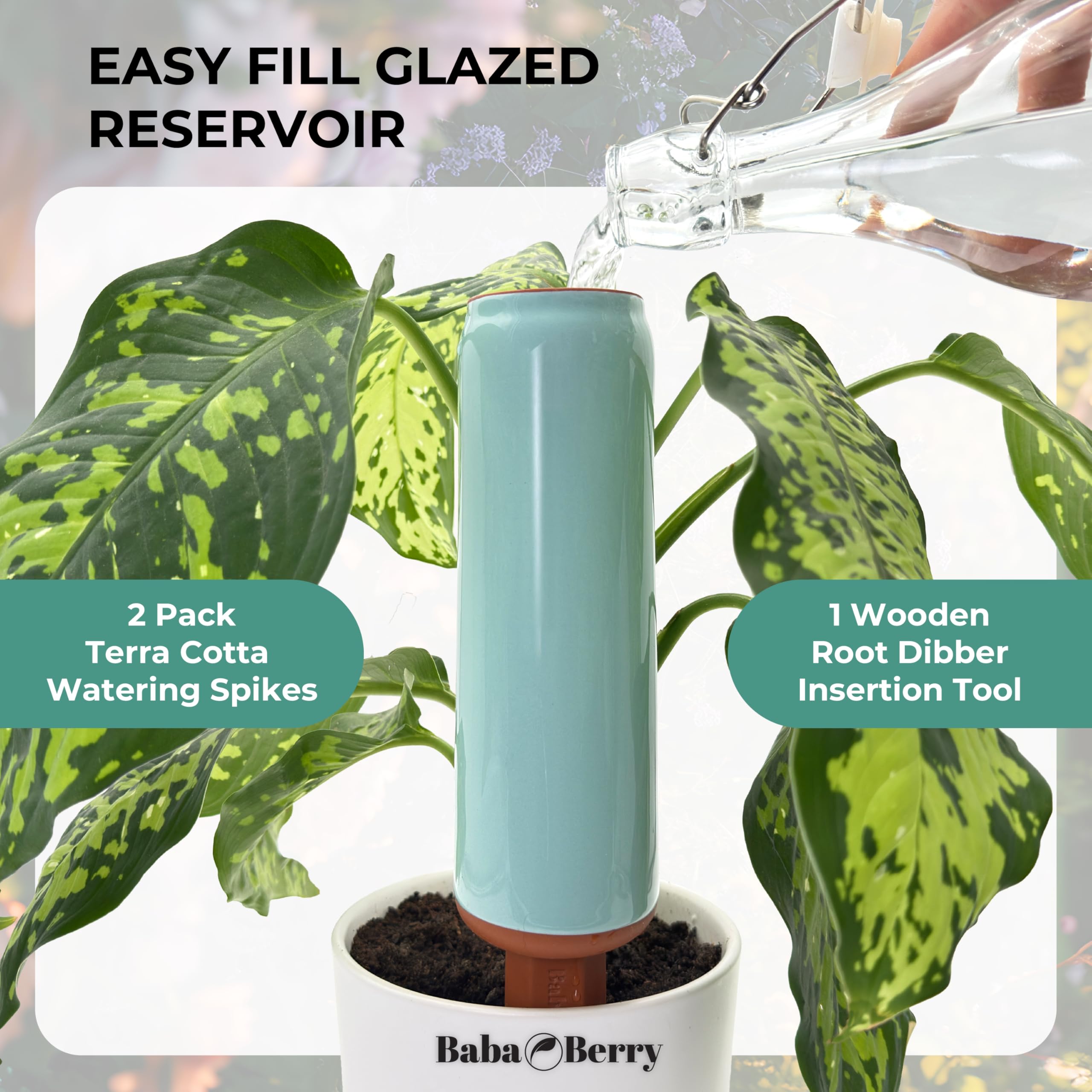 BabaBerry glazed reservoir reduces leaks and evaporation
