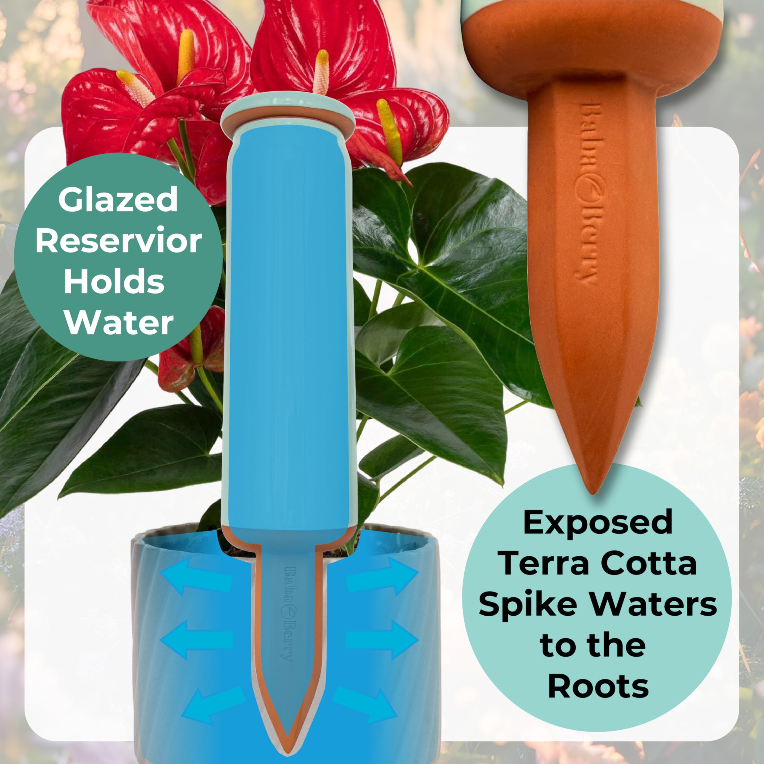 BabaBerry indoor outdoor use for versatile plant care