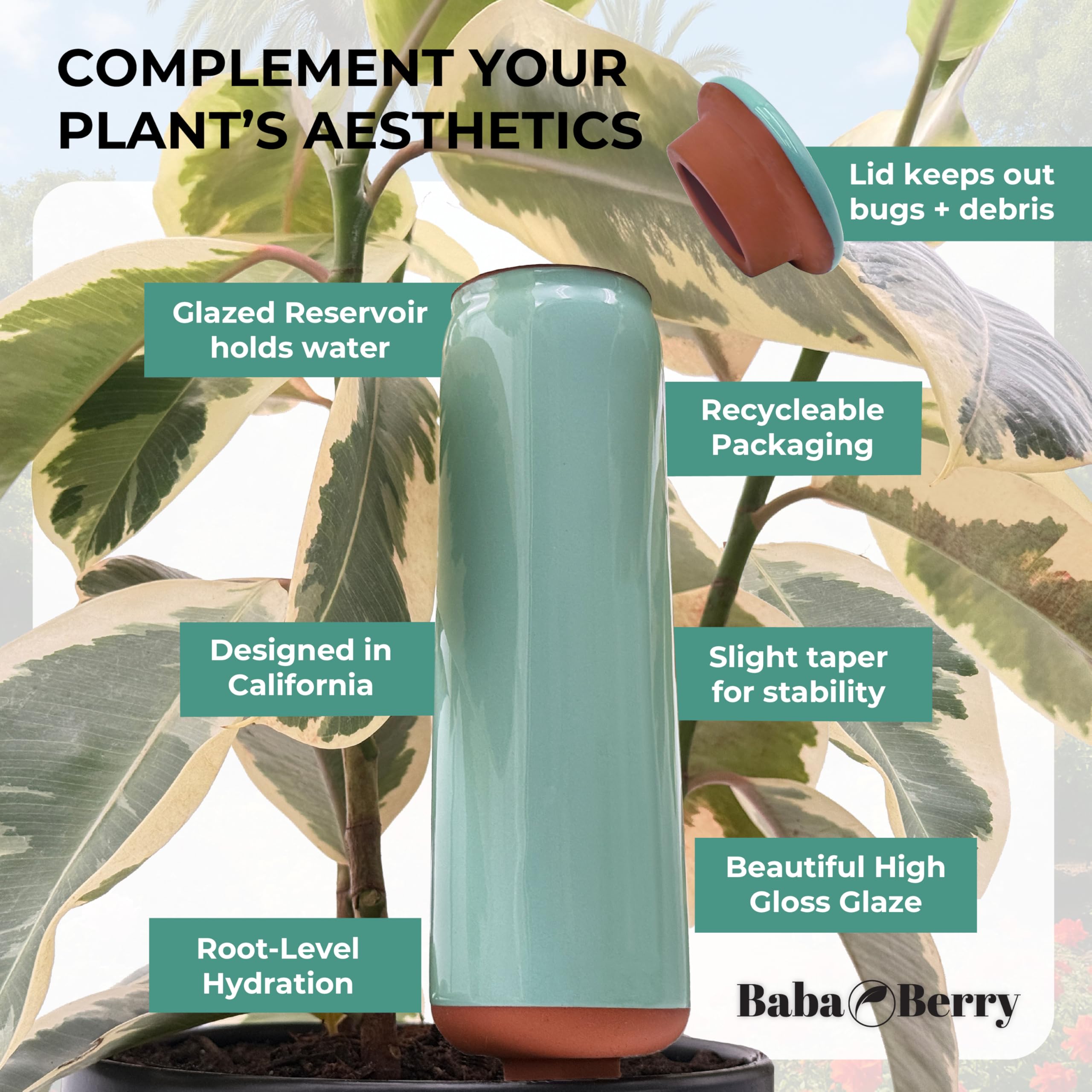 BabaBerry root dibber installer included for precise setup