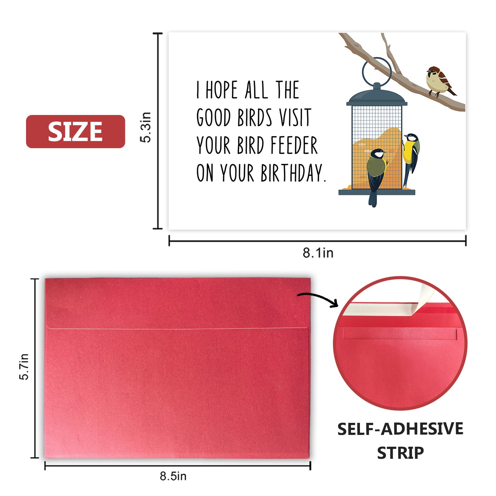 Bablira bird feeder themed interior blank space for personal messages