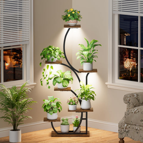 BACEKOLL 22 inch plant height clearance for tall specimens.