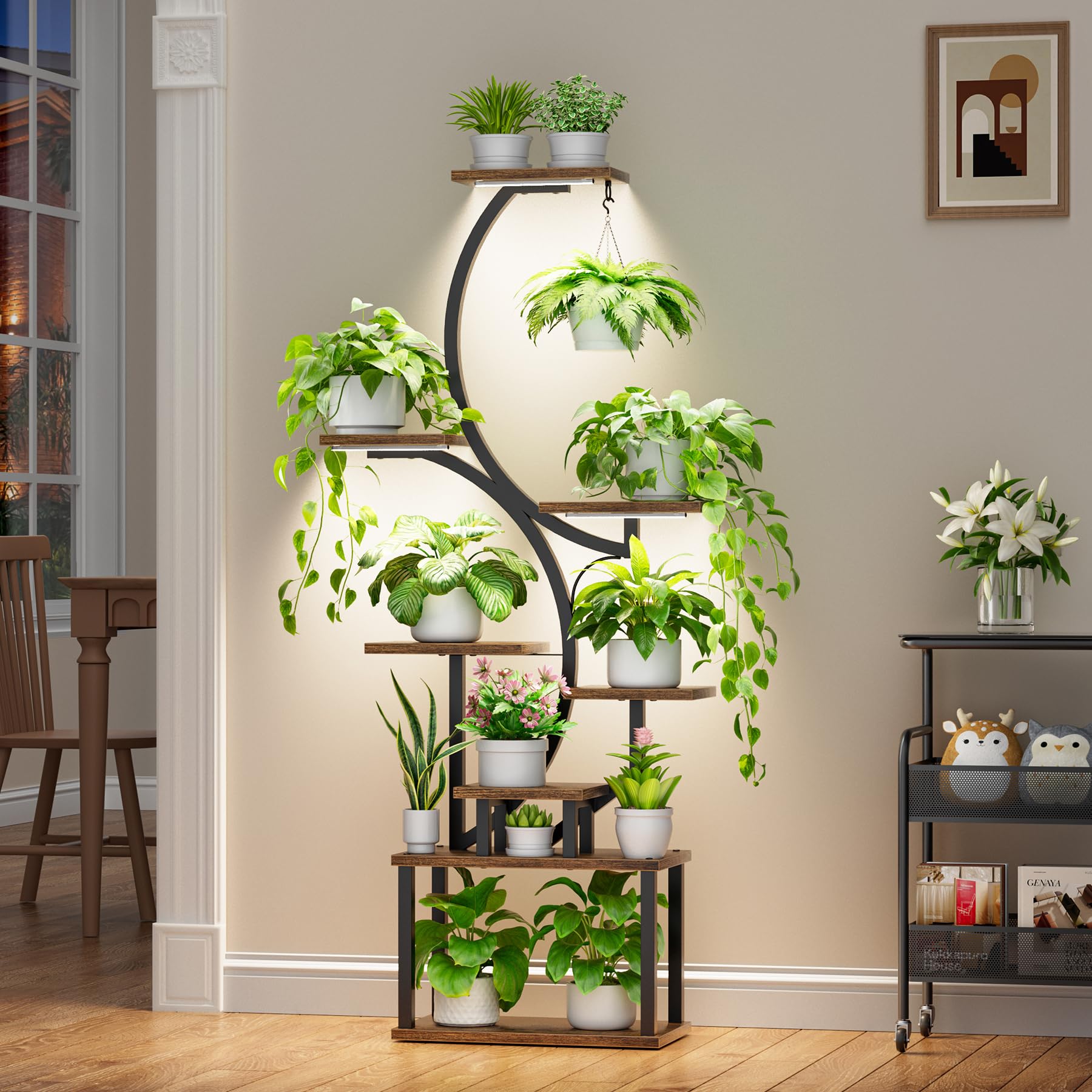 BACEKOLL 62-inch S-shaped shelf elevates space-saving display