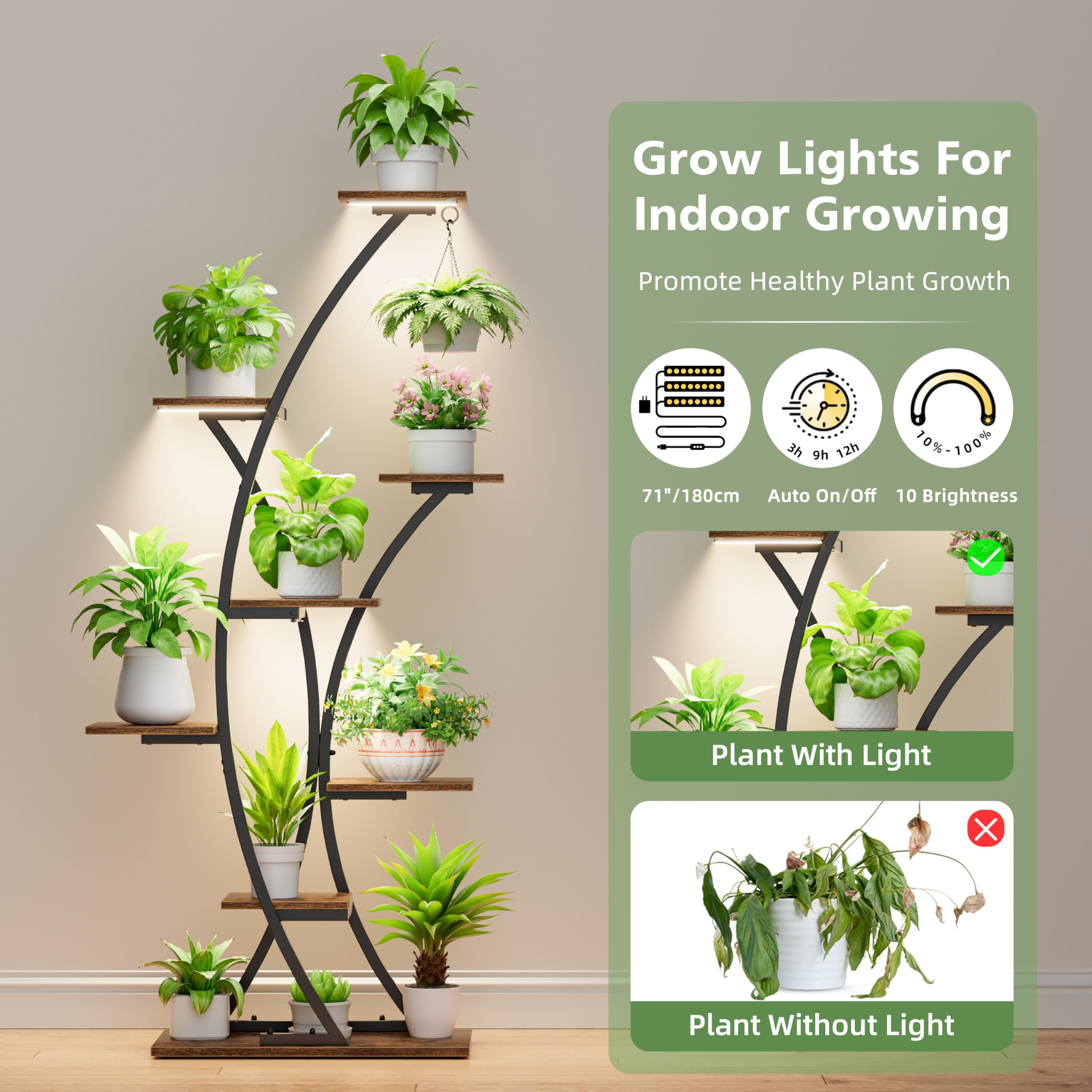 BACEKOLL heavy-duty iron-frame plant rack supporting multiple pots