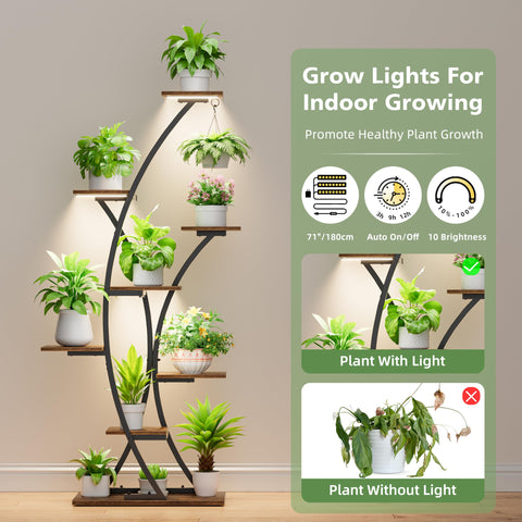 BACEKOLL heavy-duty iron-frame plant rack supporting multiple pots