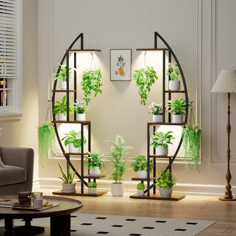 BACEKOLL indoor garden display suitable for living room or balcony.
